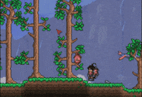Terraria GIF