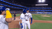 Home Run Hr GIF by New York Mets