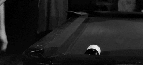 any movie with pool and paul is a winner in my book GIF by Maudit