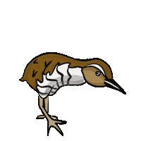 kingandrail koko guam king and rail koko bird Sticker