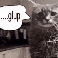 Cat Gulp GIF