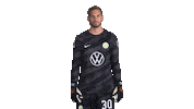 Germany No Sticker by VfL Wolfsburg
