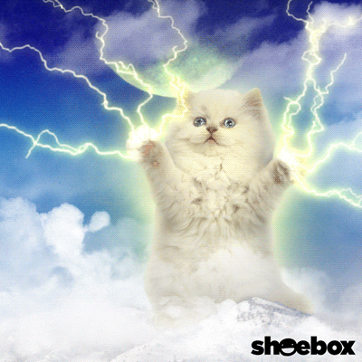 Video gif. Superimposed electric currents radiate from the front paws of a fluffy white cat and reflect in its vacant eyes. 