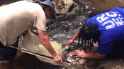 uwg gowest GIF by University of West Georgia
