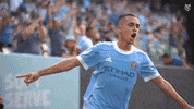 Major League Soccer Sport GIF by NYCFC