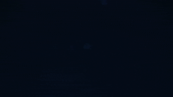remote control car GIF by HPI Racing