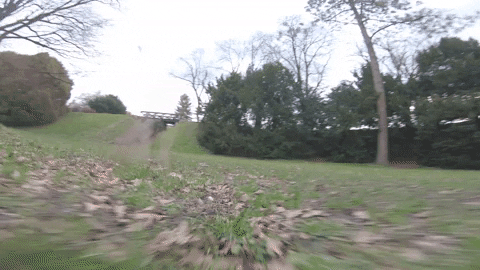 timonterzi giphyupload GIF