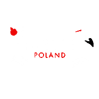 Travel Discover Sticker by IAESTE Poland