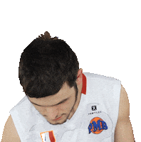 Iene Sticker by Studio3A Padova Millennium Basket