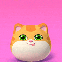 Excited Tabby Cat GIF by UpStudiosWorld