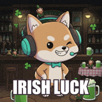 Celebrate St Patricks Day GIF by WUFFI
