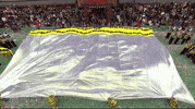 Macys Parade GIF by The 95th Macy’s Thanksgiving Day Parade