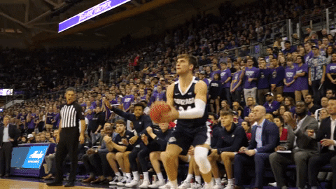 GonzagaBulldogs giphyupload celebration basketball bench GIF