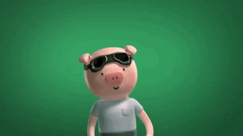 GIF by SaveMyBacon