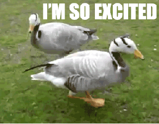 i'm so excited duck GIF