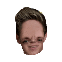 onedirection STICKER by imoji