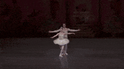 pas de deux nutcracker GIF by New York City Ballet