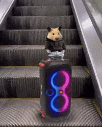 Hamster Sigma GIF