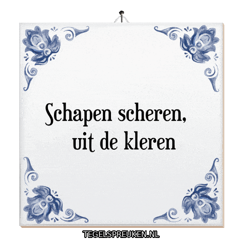 Humor Wijsheid Sticker by Tegelspreuken.nl