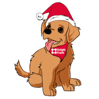 Dog Christmas Sticker by Knight Frank Ireland
