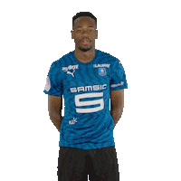 Ligue 1 Football Sticker by Stade Rennais F.C.