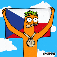 Gold Medal Flag GIF by shremps