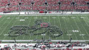 Ohio State Motorcycle GIF by tbdbitl