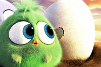 angrybirds no thanks hatchlings well actually unsolicited GIF