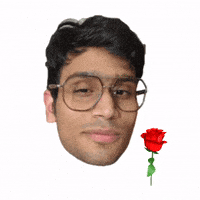 Rose Pp GIF
