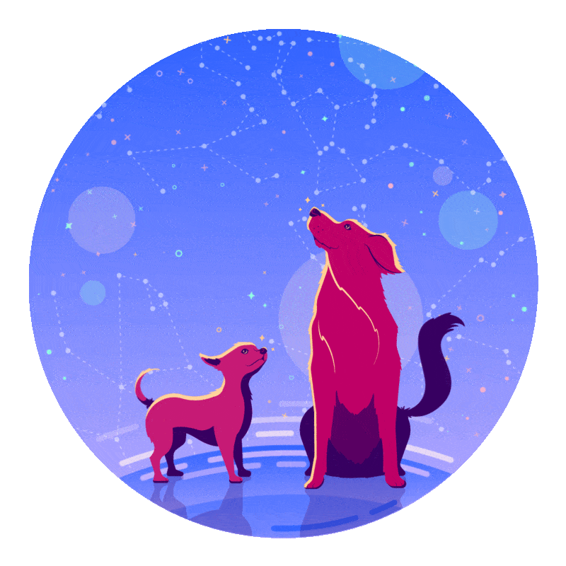 jackwatson05 space galaxy doggos big dog Sticker