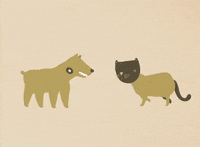 cat dog GIF