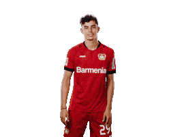 Bayer 04 Love Sticker by Bayer 04 Leverkusen