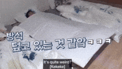 Dk Blanket GIF