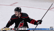 Happy Carolina Hurricanes GIF by NHL