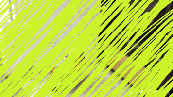 JustVidman party birthday happy birthday drunk GIF