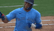 Celebrate Home Run GIF by Toronto Blue Jays