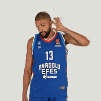 Basketball Darius GIF by Anadolu Efes SK