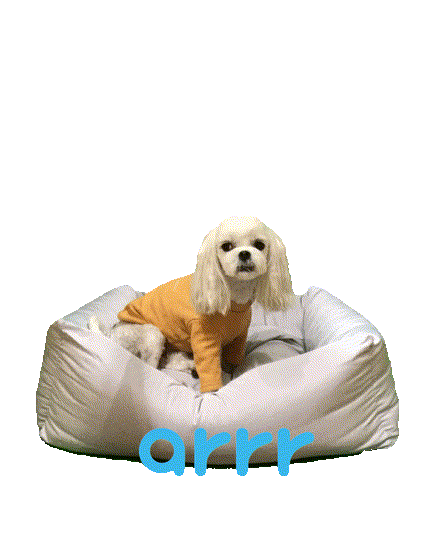 아르르 Sticker by arrr_official