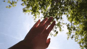 sun marie GIF by SoulPancake