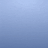Penguin Ok GIF by Pudgy Penguins