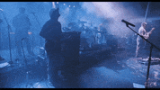 slightlystoopid bass stage lighting miles GIF