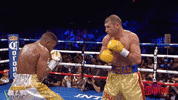 jack the ripper fight GIF by SHOWTIME Sports