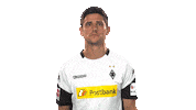 football wtf Sticker by Bundesliga