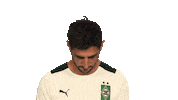 Happy Borussia Moenchengladbach Sticker by Bundesliga