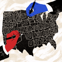 United States America GIF by Creative Courage
