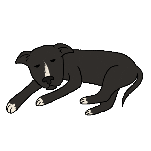 Sleepy Black Dog Sticker