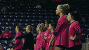 Volleyball Hype GIF by UNI Athletics