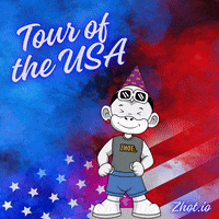 United States Usa GIF by Zhot