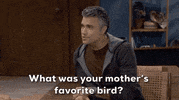 Broke Show GIF by CBS