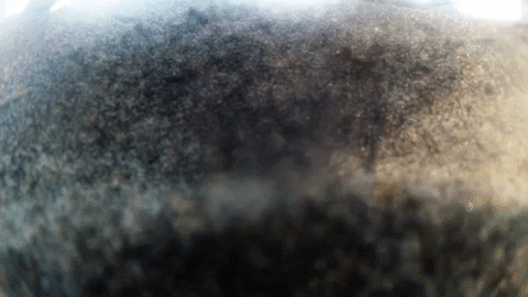 Film Art GIF by jorgemariozuleta